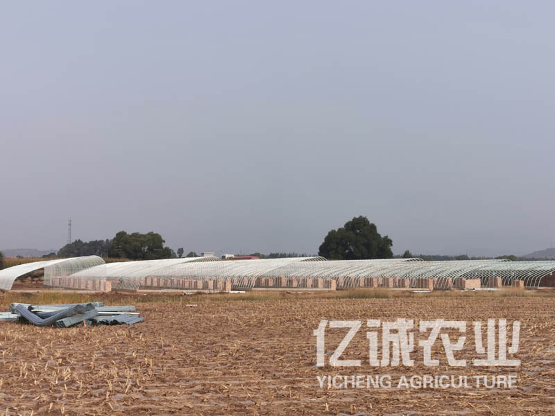 一畝溫室大棚造價多少錢？溫室建設(shè)成本