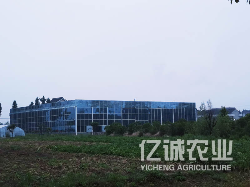 智能溫室大棚遇到大風(fēng)該怎么加固？