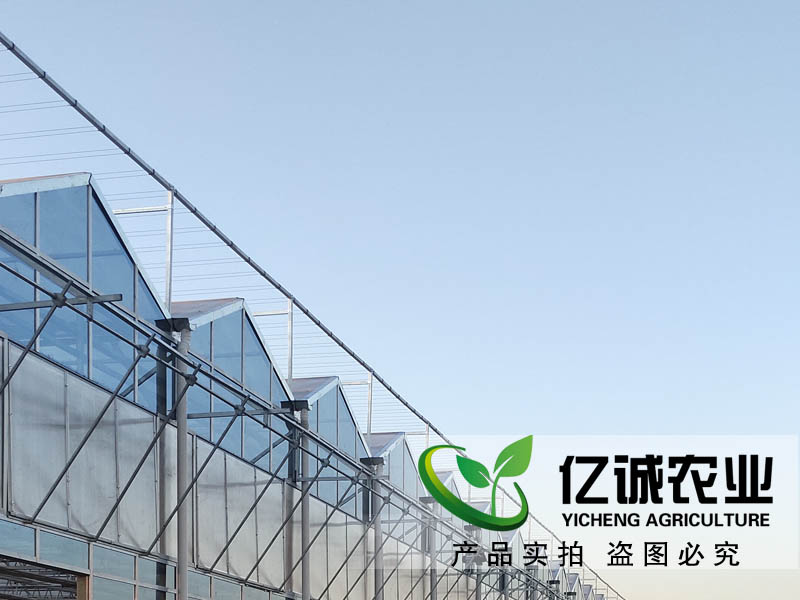 玻璃溫室每平方米報(bào)價(jià)多少？現(xiàn)代化智能溫室大棚造價(jià)？