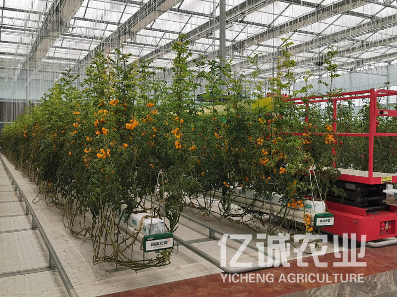 青州溫室大棚建設哪家好？
