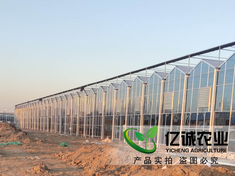 建一畝地溫室大棚多錢？用什么材料比較好？