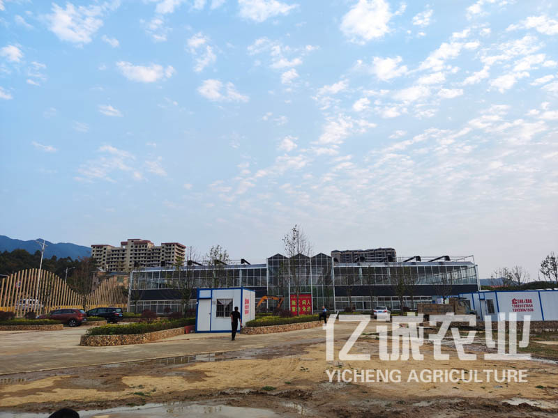 現(xiàn)代化連棟溫室大棚建設有補貼嗎？連溫室大棚造價多少一畝